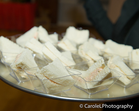 carolelphotography--carole-22